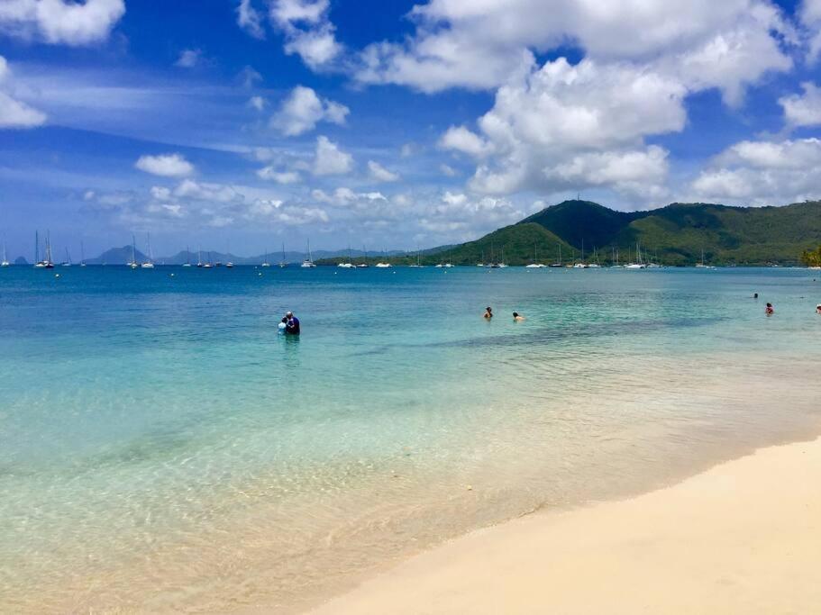 Hamo Tropical Piscine Proche Plage Sainte-Anne Exterior foto