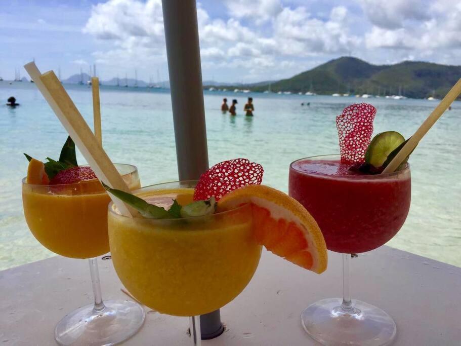 Hamo Tropical Piscine Proche Plage Sainte-Anne Exterior foto
