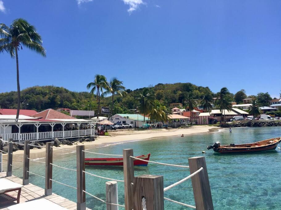 Hamo Tropical Piscine Proche Plage Sainte-Anne Exterior foto