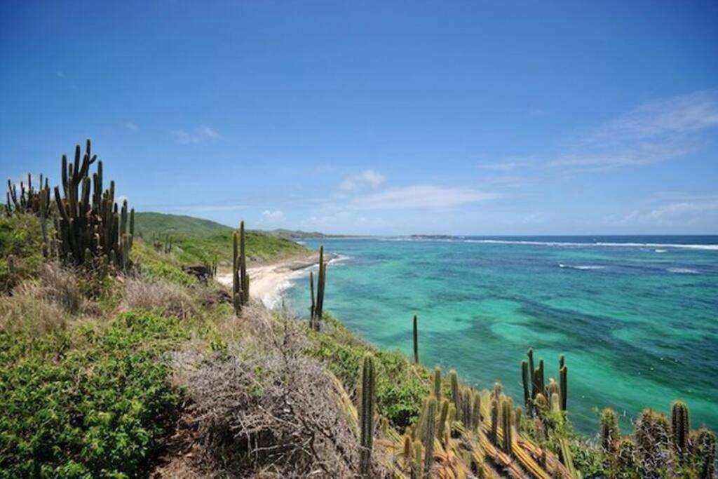 Hamo Tropical Piscine Proche Plage Sainte-Anne Exterior foto