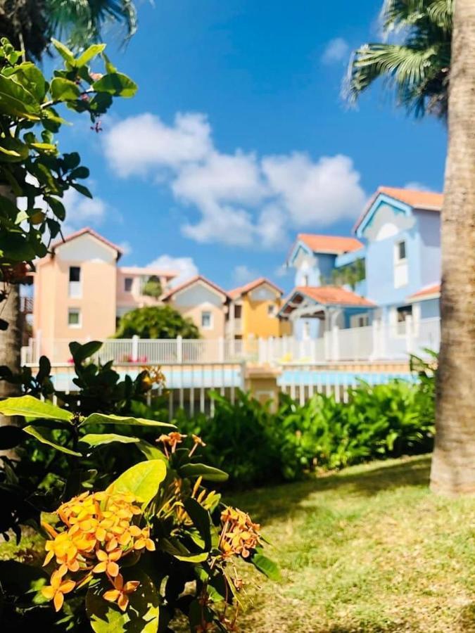 Hamo Tropical Piscine Proche Plage Sainte-Anne Exterior foto